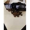 Image 2 : 24 NEW NECKLACES
