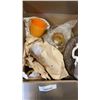 Image 1 : BOX OF DECORATIONS, GLASS VASES
