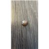 Image 2 : BIG SILVER "CAT EYE" EFFECT MOONSTONE 14.13CT