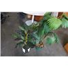 Image 1 : 2 ARTIFICIAL FERNS