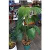 Image 3 : 2 ARTIFICIAL FERNS