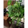 Image 3 : LOT OF ARTIFICIAL PLANTS