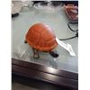 Image 1 : GLASS SHADE TURTLE LAMP