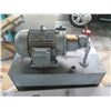 Image 11 : WEG Electric Motor W22 TEFC General Purpose