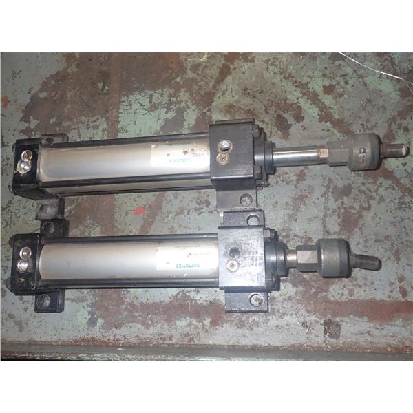 Lot of (2) Numatics Pneumatic Cylinders #TF-585523-1, S2AK-05A1B-BAA2v