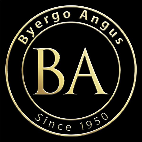 (230232) 3 head BWF Open Heifers consigned by Watkins Cattle