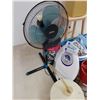 Image 2 : Sunbeam Fan & Housewares Cat B