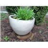 Image 1 : Out Door Pot Cat C