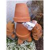 Image 6 : Flower Pot Man Cat C