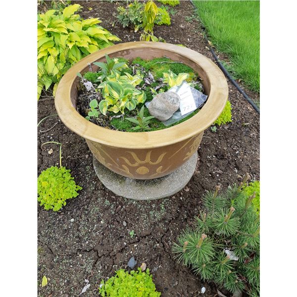 Chinese Outdoor Pot Cat A