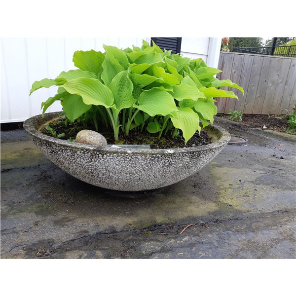 Large Stone Pot Cat A