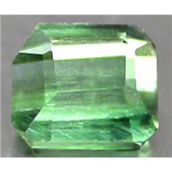 .69ct. Neon Green Pink Green Natural Tourmaline RETAIL $500 (GEM-2079)
