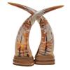 Image 1 : Rare White Water Buffalo Horn Scrimshaw Pair (CLB-377)
