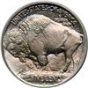 Image 2 : 1913-D Buffalo 5C. Type 1 PCGS MS66