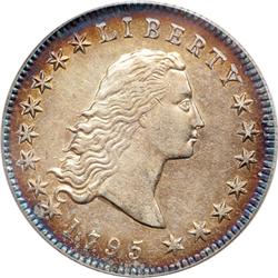 1795 Flowing Hair $1. B-1, BB-21 2 Leaves PCGS AU50