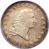 1795 Flowing Hair $1. B-1, BB-21 2 Leaves PCGS AU50