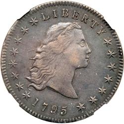 1795 Flowing Hair $1. 3 Leaves NGC AU50