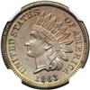 Image 1 : 1863 1c Indian NGC MS64