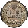 Image 2 : 1863 1c Indian NGC MS64