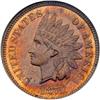Image 1 : 1875 1c Indian ANACS PF63RB
