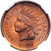 Image 1 : 1891 1c Indian NGC MS64RB