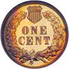 Image 1 : 1905 1c Indian NGC PF65RB