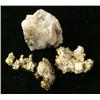 Image 1 : FOUR SPECIMENS OF GOLD IN QUARTZ