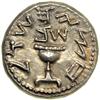 Image 1 : The Jewish War, 66-70 CE. AR Half Shekel (7.1g) dated Y