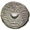 Image 1 : AR Shekel (14.1 g) dated year 2 (67/8 CE)