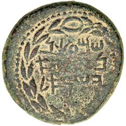 Bar Kokhba Revolt 132-134 CE. Large Bronze (30mm, 24.3g