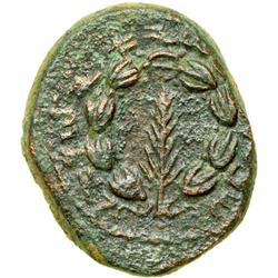 Medium Bronze (24 mm) dated year One (132/133 CE)