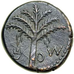 The Bar Kokhba War, 132-135 CE. Medium Bronze (24mm) da