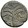 Image 1 : Bar Kochba Revolt Medium Bronze attributed to Year 3