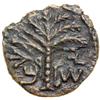Image 1 : The Bar Kokhba War, 132-135 CE. Small Bronze (17mm) att