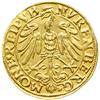 Image 2 : 0630- Nuremberg. Goldgulden, 1536