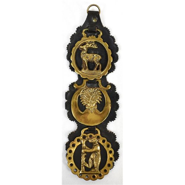 Horse Harness Decor with 3 Brass Medallions