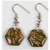 Image 1 : Unakite Earrings