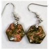 Image 4 : Unakite Earrings