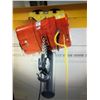 Image 2 : 2 ton hoist with 20’ bridge crane (pick up MTL)