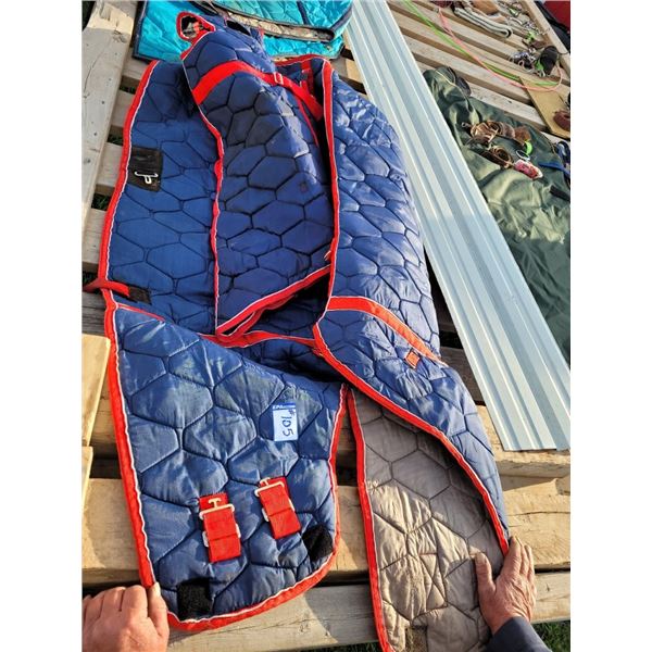 Quilted Horse Blanket and Hood. "Olympian by Silver Royal" (One Hole