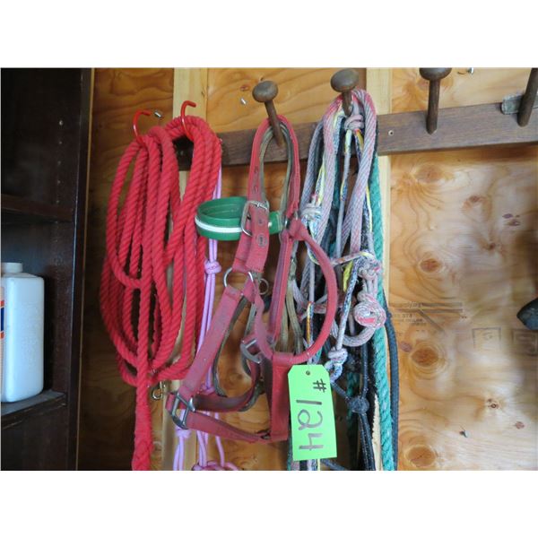 Misc. Halters and Cotton Lunge Line