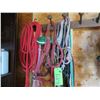 Image 1 : Misc. Halters and Cotton Lunge Line