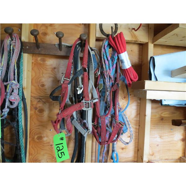 Misc. Halters and New Jerk Line