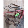 Image 1 : Leather Hobbles, Bridle c/w Bit and Reins, Leather Reins and Leather Tie Down