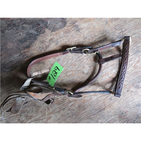 Leather Halter and Skid Boots