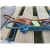Image 2 : Rope Halter and Lead, Leather Barbwire Headstall c/w Charmayne James Bit and Tie Down