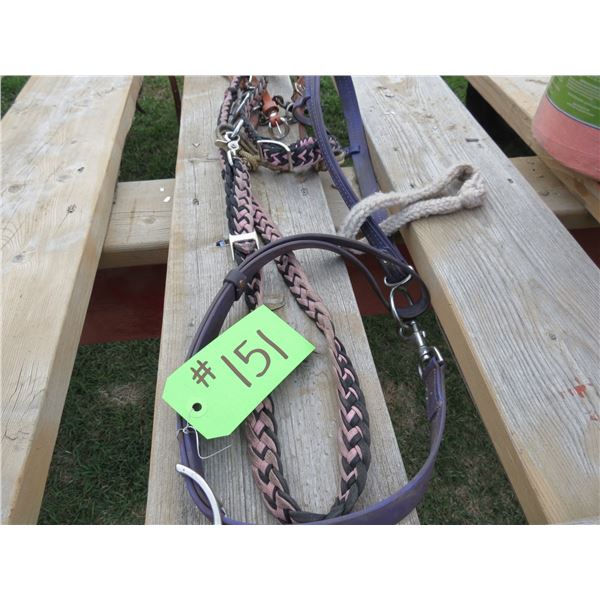 Purple Biothane Tie Down, Leather Bridle c/w Short Shank Snaffles and Reins