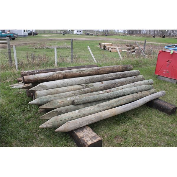 Approx. 27- Fence Posts and 4- RR Ties