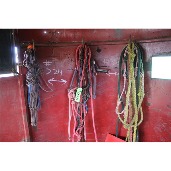 Misc. Harness, Tack and Leads