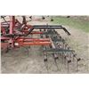 Image 5 : Case IH 4600, Approx. 27' Cultivator c/w 4 Bar Tines, #0250000000522C